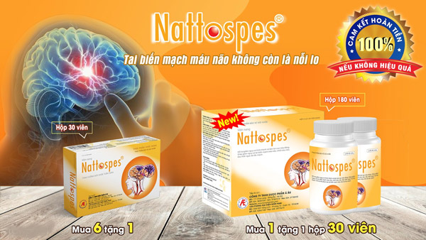 Nattospes giúp hỗ trợ phục hồi sau đột quỵ não